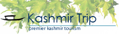 Kashmir Trekking Tour