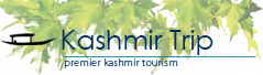 Kashmir Family Tour