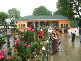 Kashmir Holiday Tour